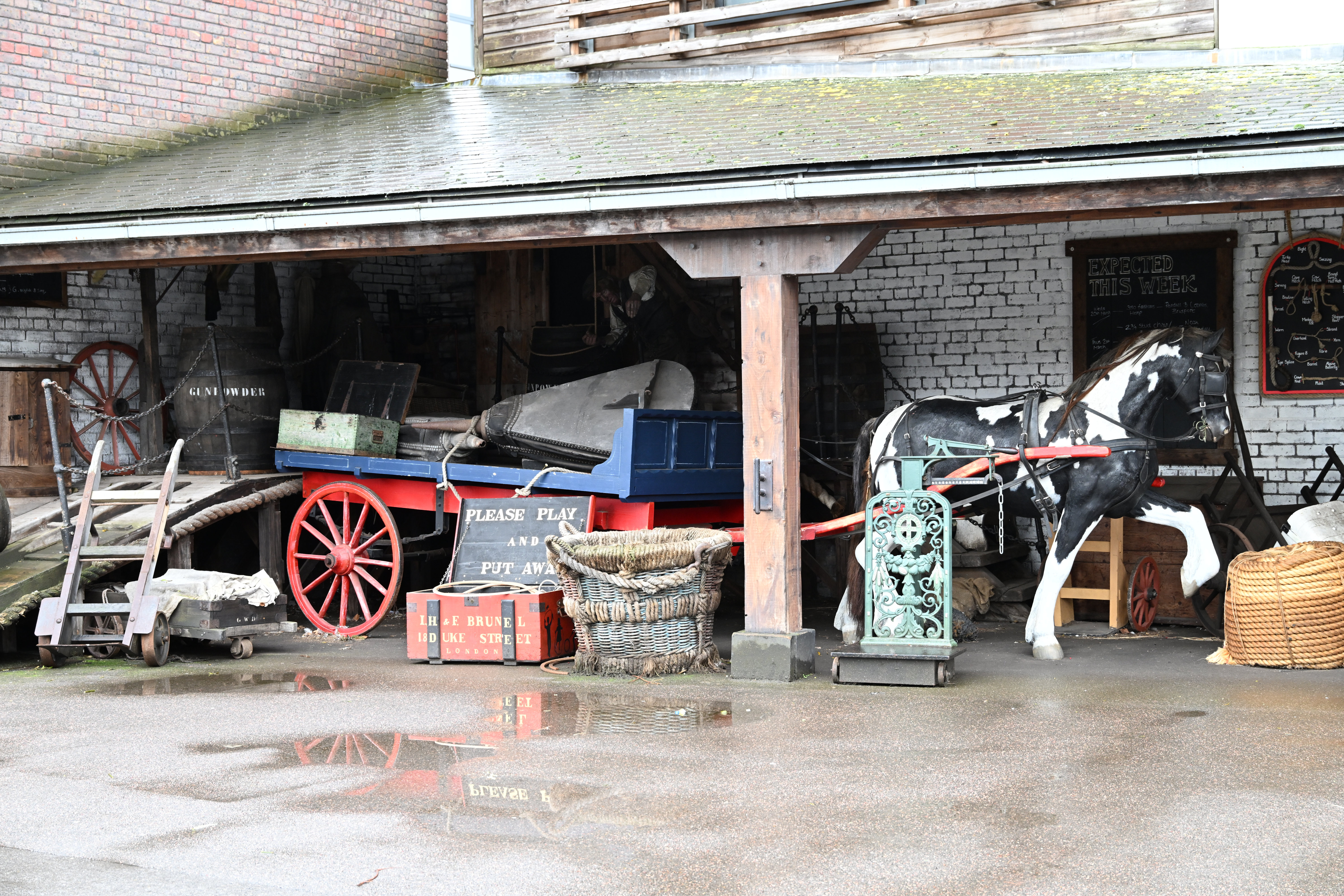 Nikon Z 24-105mm f/4-7.1 sample shot