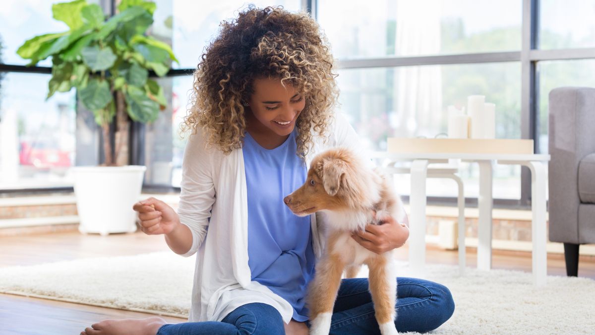 Trainer shares three common mistakes to avoid when training your puppy ...