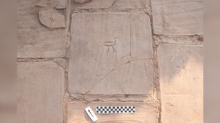 A bird/chicken was carved into a terracotta floor tile prior to firing.