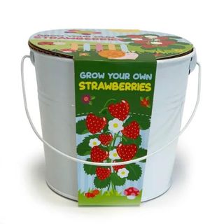 Kid's Grow Your Own Strawberries Kit