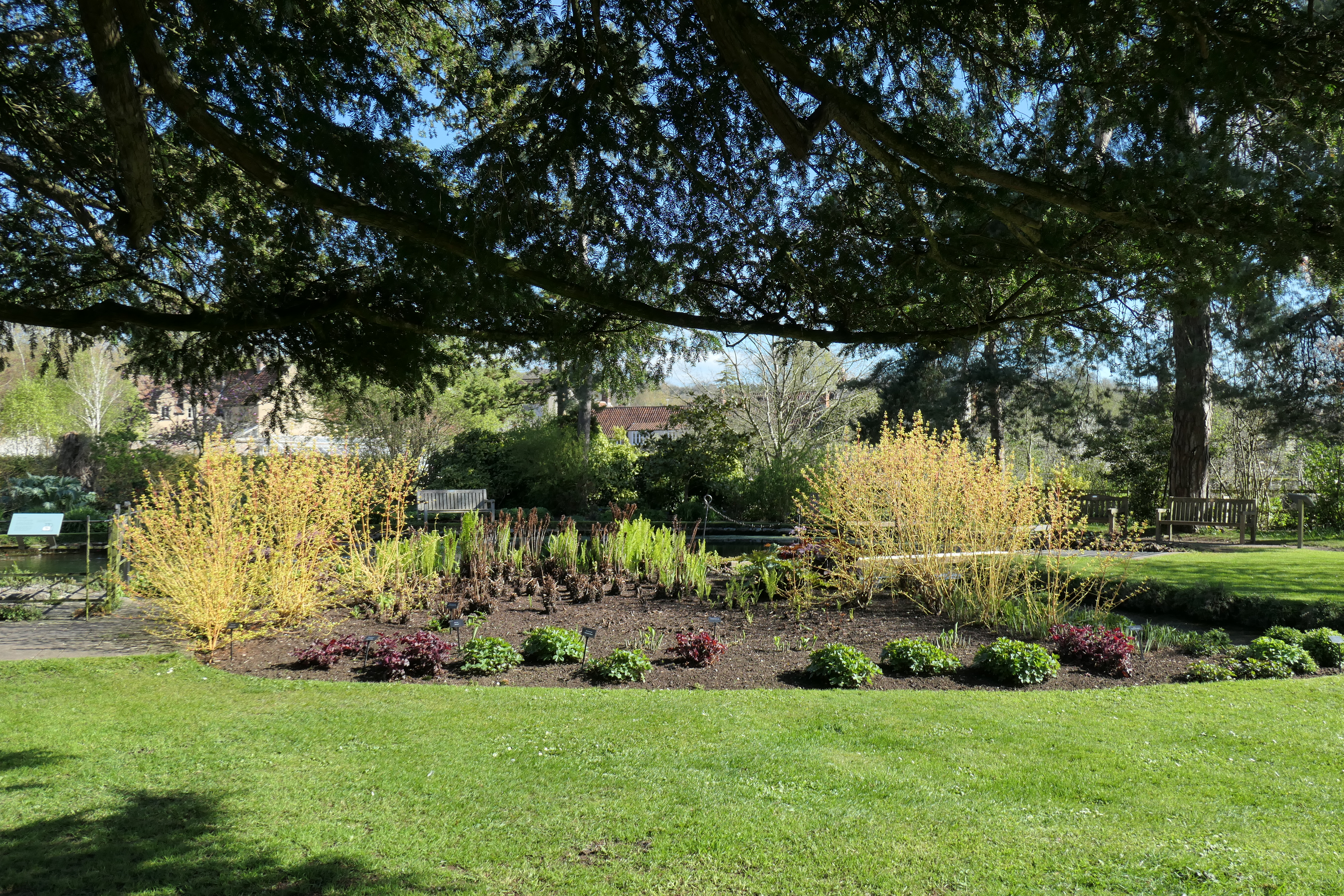 Panasonic Lumix ZS300 / TZ300 sample image