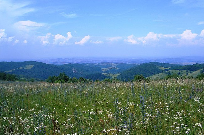 Sumadija region, Serbia