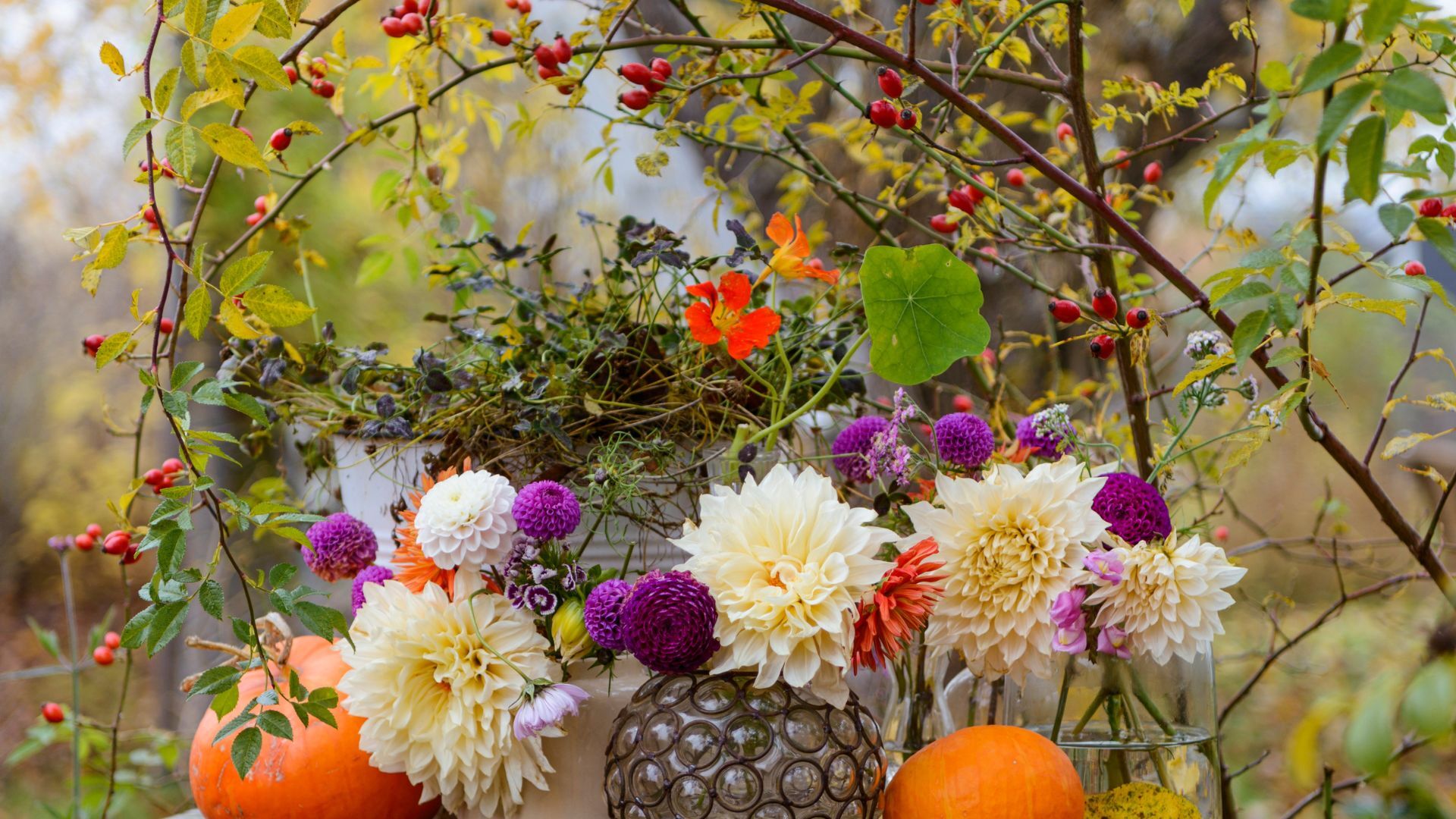 Rosehips and dhalias