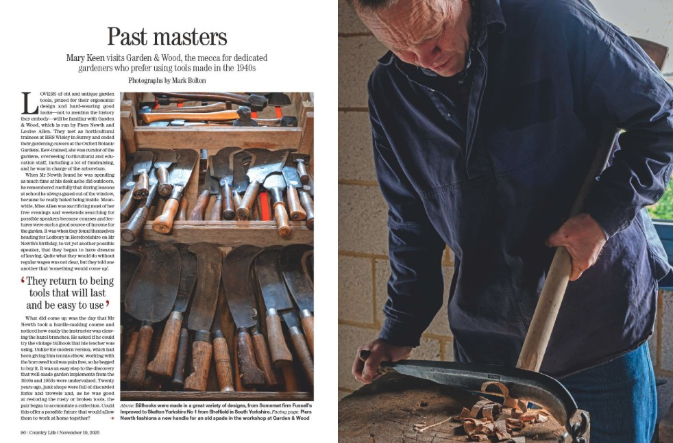 Magazine spread from Country Life 19 November 2025