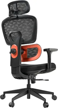 Eureka Ergonomic  Cyra