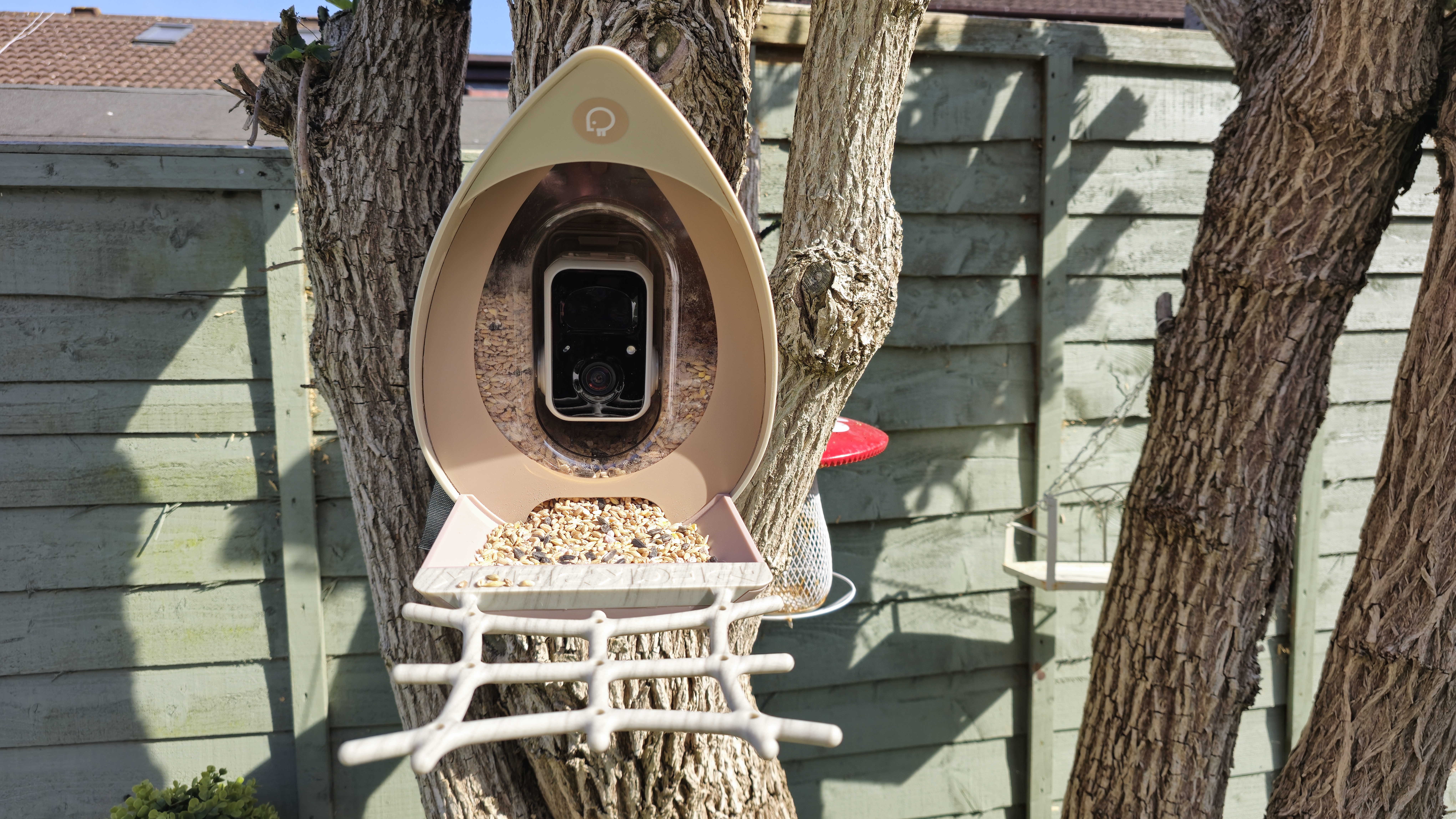 PeckPerk bird camera review