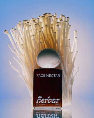 Herbar Face Nectar