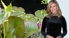 Compilation of pond plants and an image of Kate Garraway