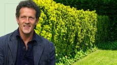 picture of hedge growing in garden and cut out picture of monty don 