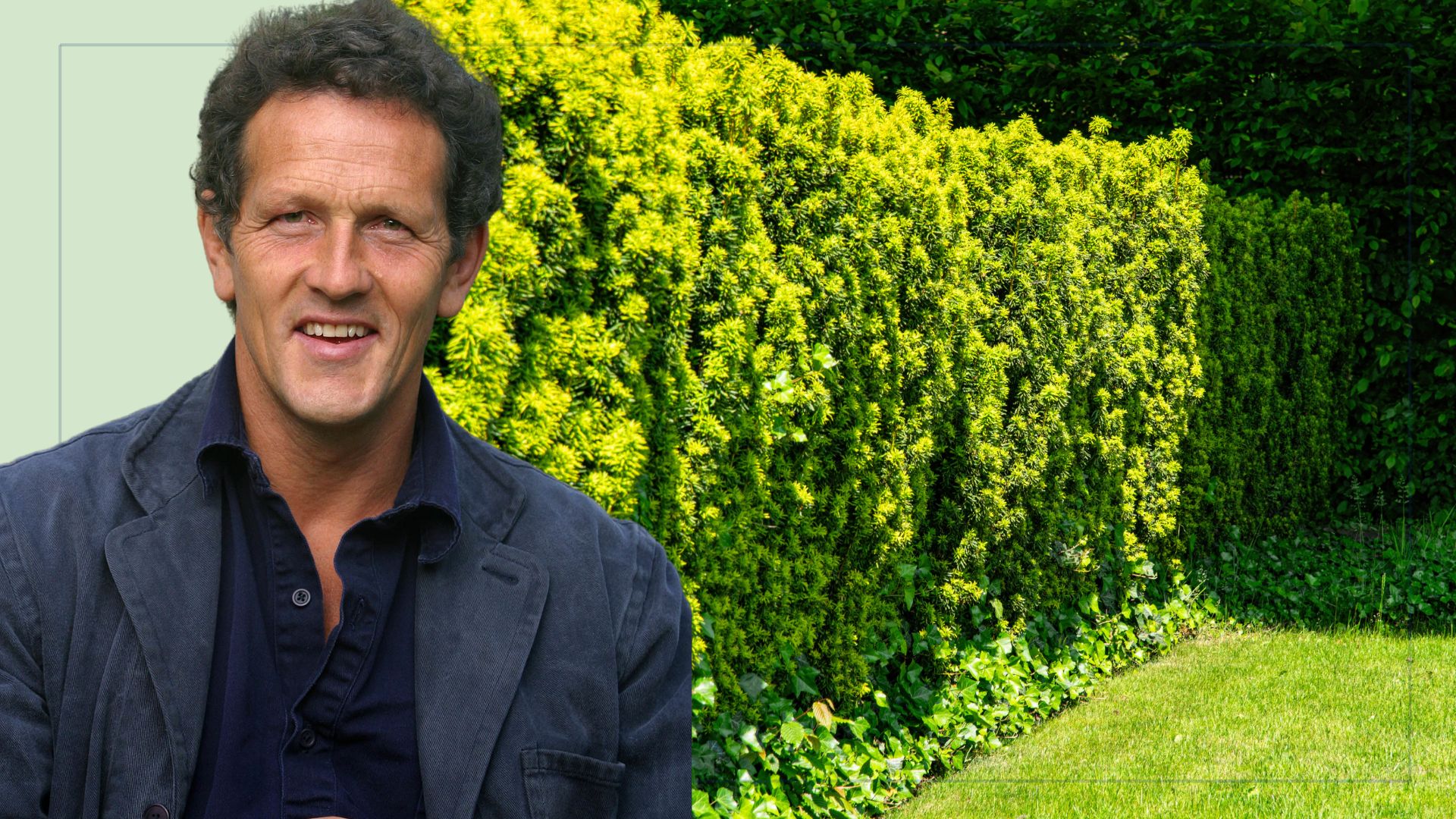 picture of hedge growing in garden and cut out picture of monty don 