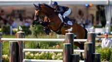 Emily Moffitt riding Winning Good in the European Showjumping Championships