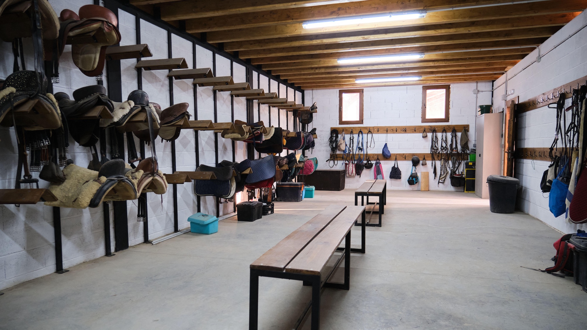 The interior of a tidy tackroom with saddles and bridles.