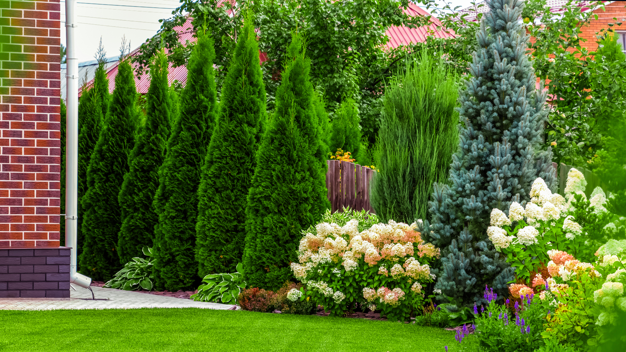 well-kept home landscape with fence and shrubs