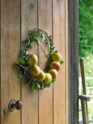 Fresh green apples and foliage on a winter wreath on a rustic open wooden door.