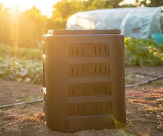 Compost in sun