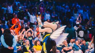 Dallas Wings mascot