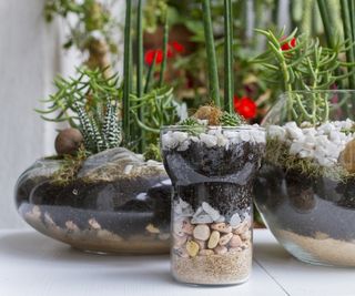Stone, sand and soil layers in base of terrarium
