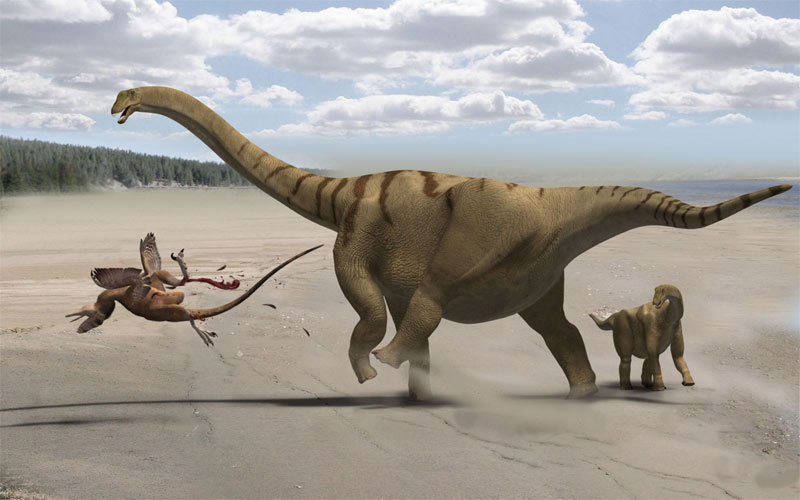 Living Sauropods? No Way, Science