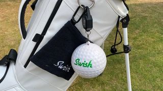 Swish portable ball cleaner