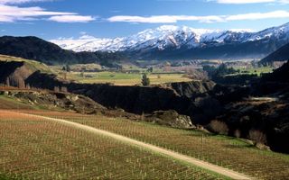 Central Otago, New Zealand