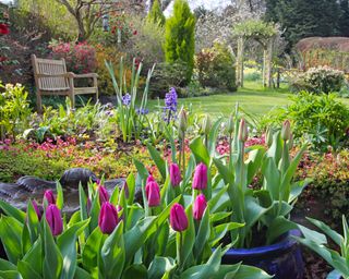Large colorful garden bed in springtime