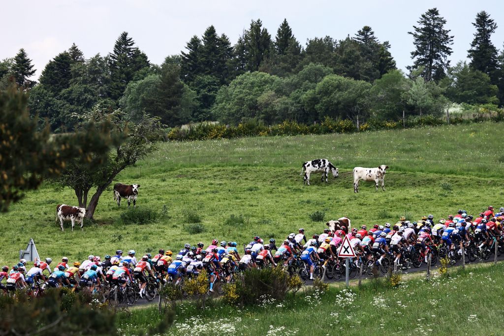 The Critérium du Dauphiné peloton