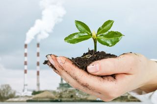 Hand cradles plant with factory in background