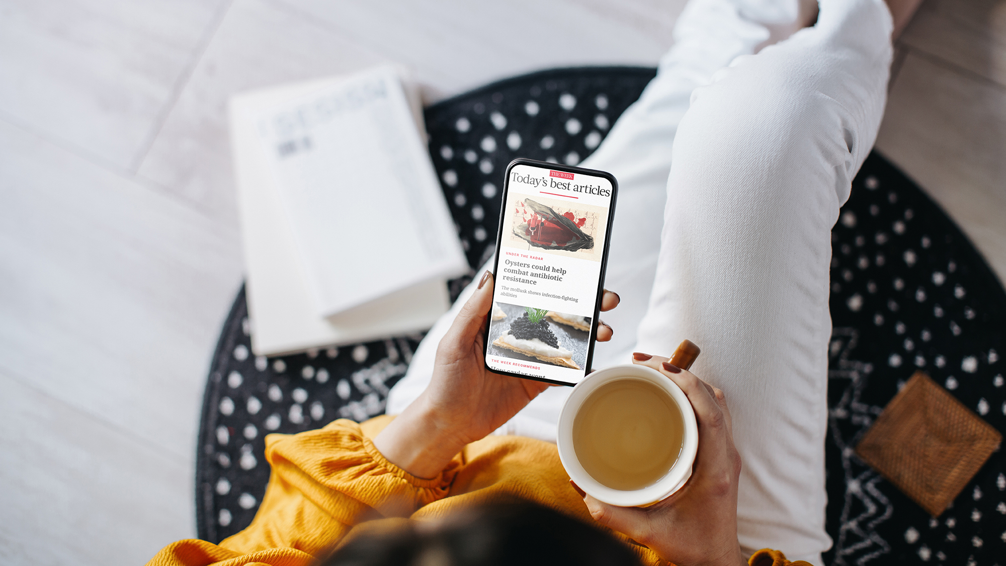 Today's Best Articles