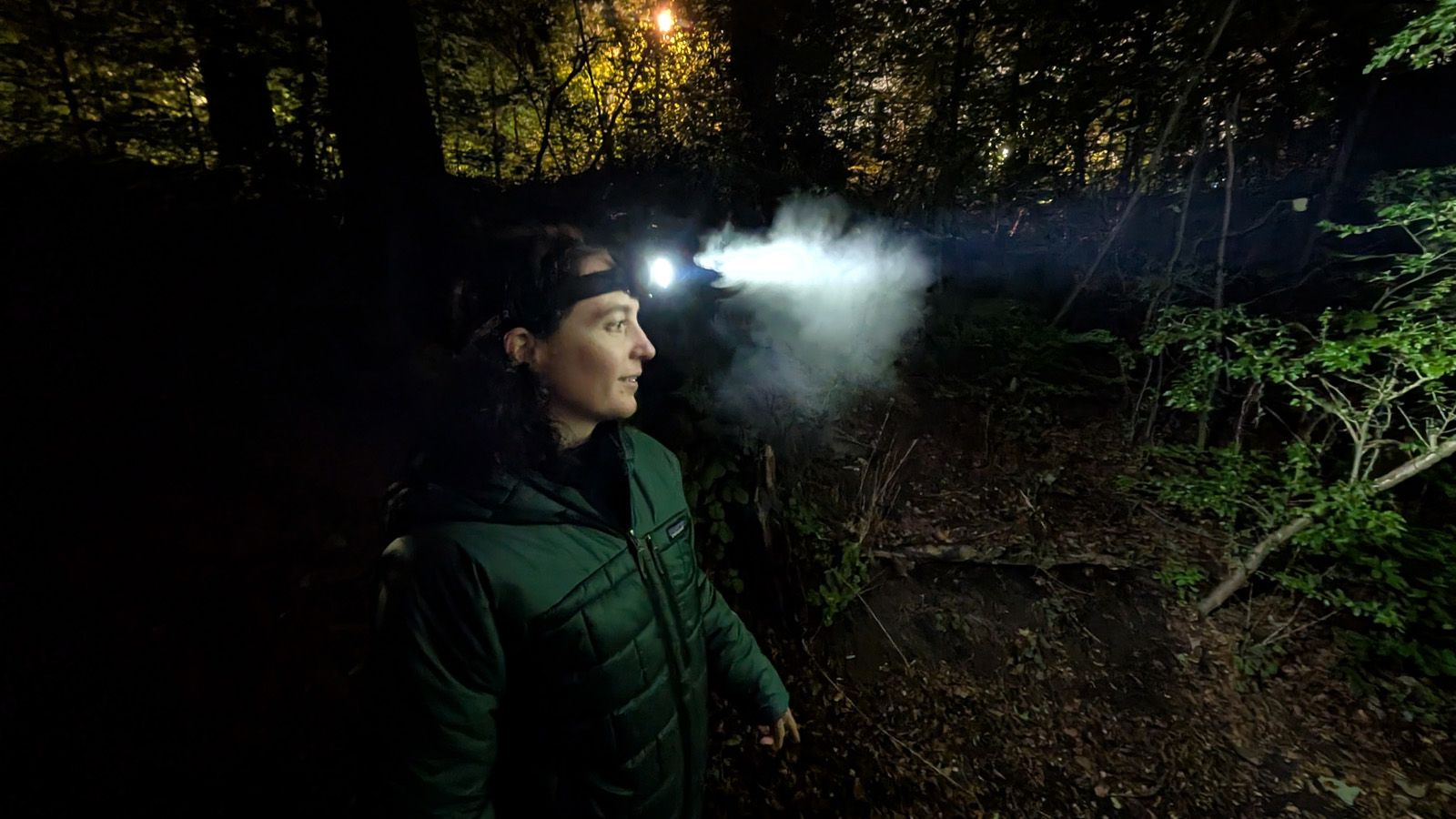 Ledlenser HF7R Signature RGB Rechargeable Head Torch review: Boss the night