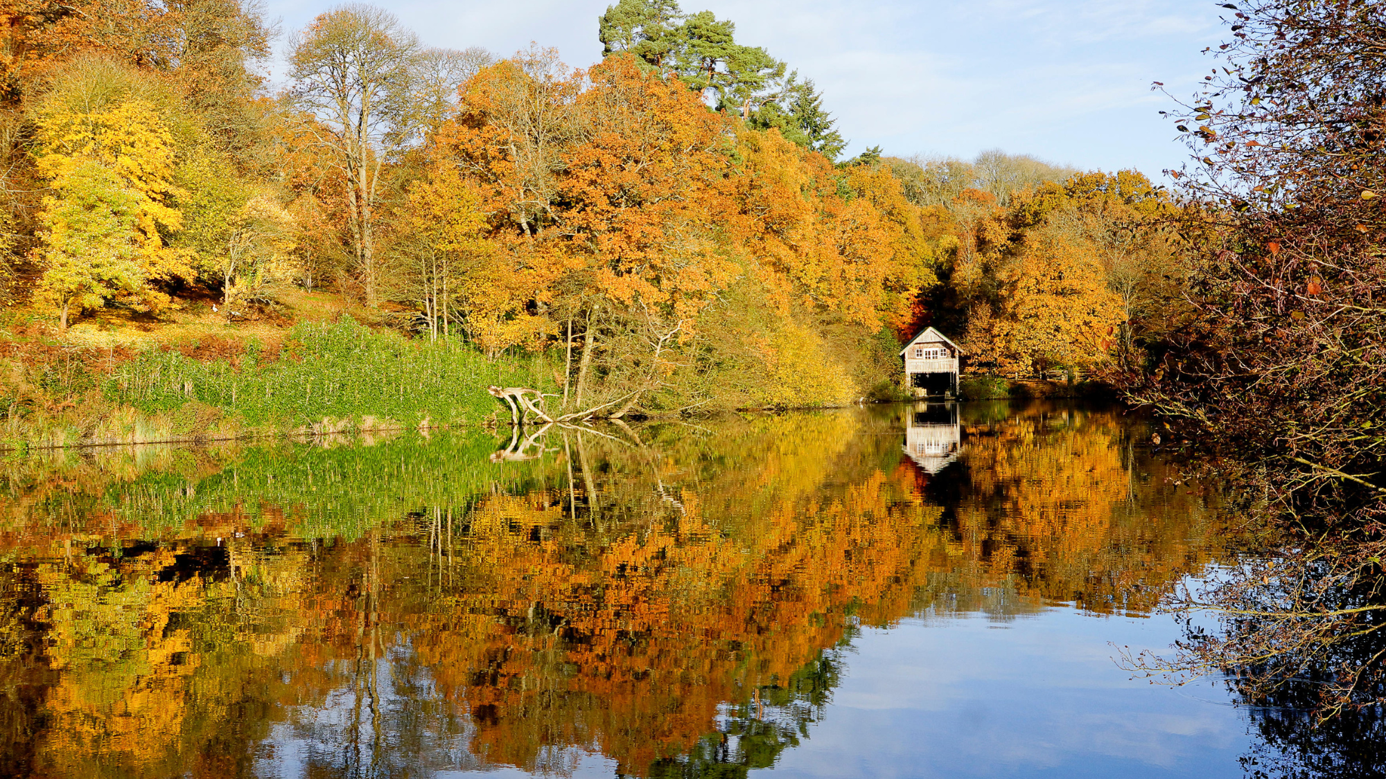 Winkworth Arboretum near Godalming in Surrey