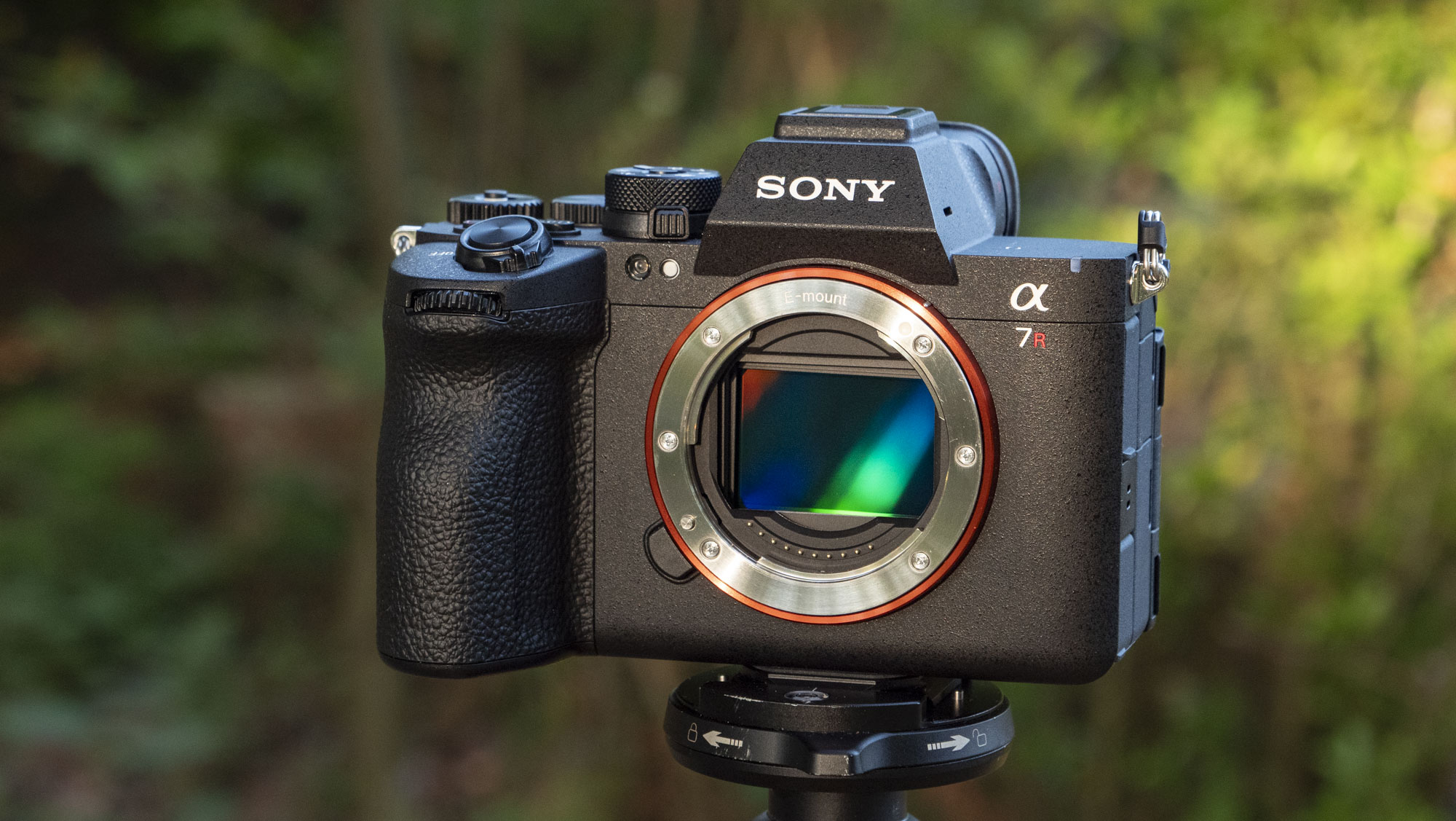 The Sony A7R VI camera and no lens attached and the sensor inside is reflecting light, it's mounted to a tripod outdoors, there's a natural background