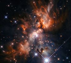 NASA's Hubble Space Telescope caught a glimpse of a "stellar nursery" &mdash; a cloud of dust where stars are born.