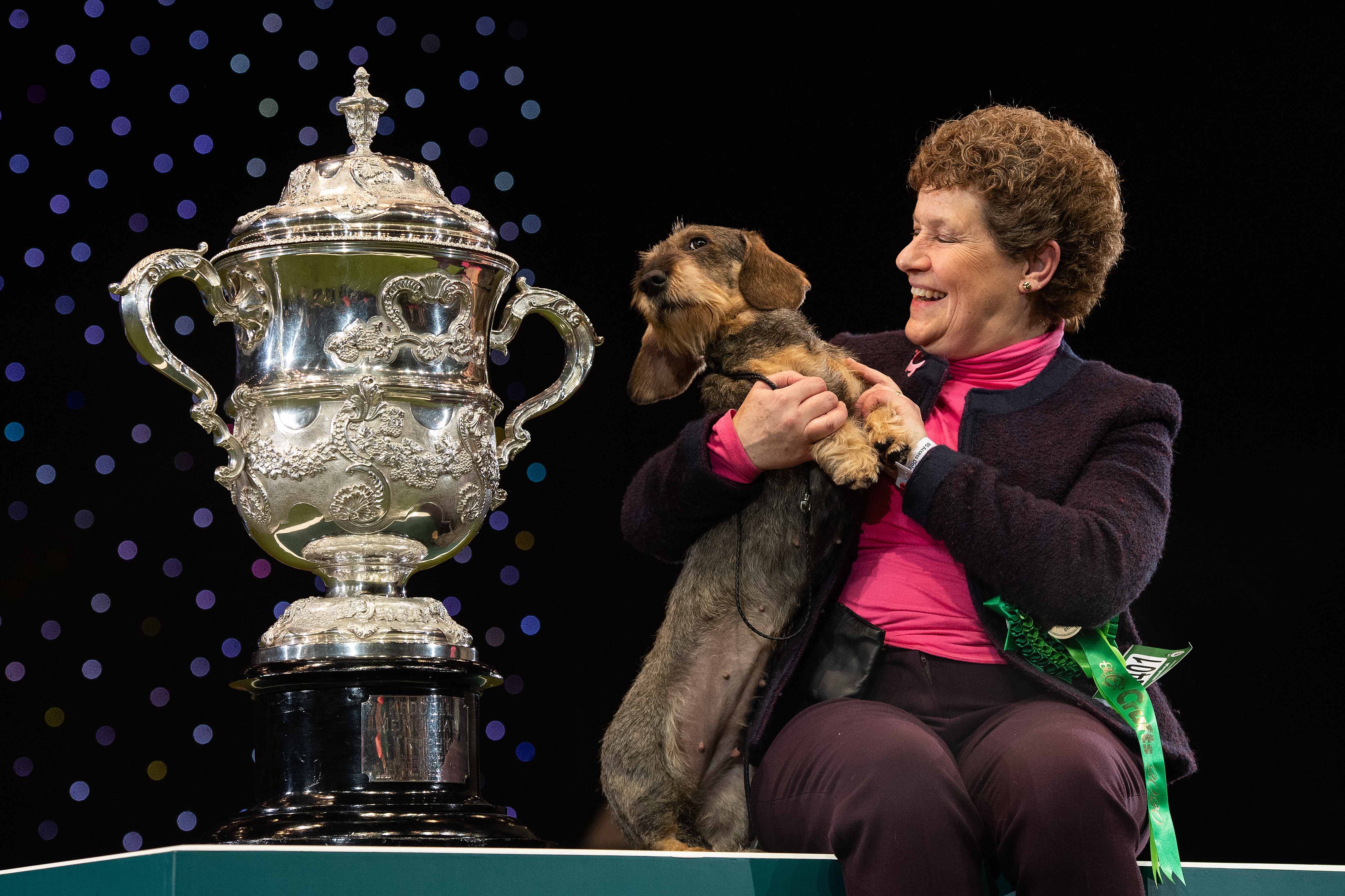 Wire-haired dachshund Silvae Trademark with handler Mrs Silva and the Crufts Best in Show trophy at the NEC in Birmingham, 2020.