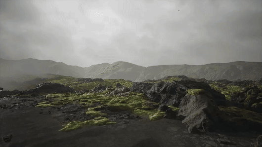 A GIF of the video game Lushfoil Photography Sim shows the player pulling a camera up and reviewing pictures