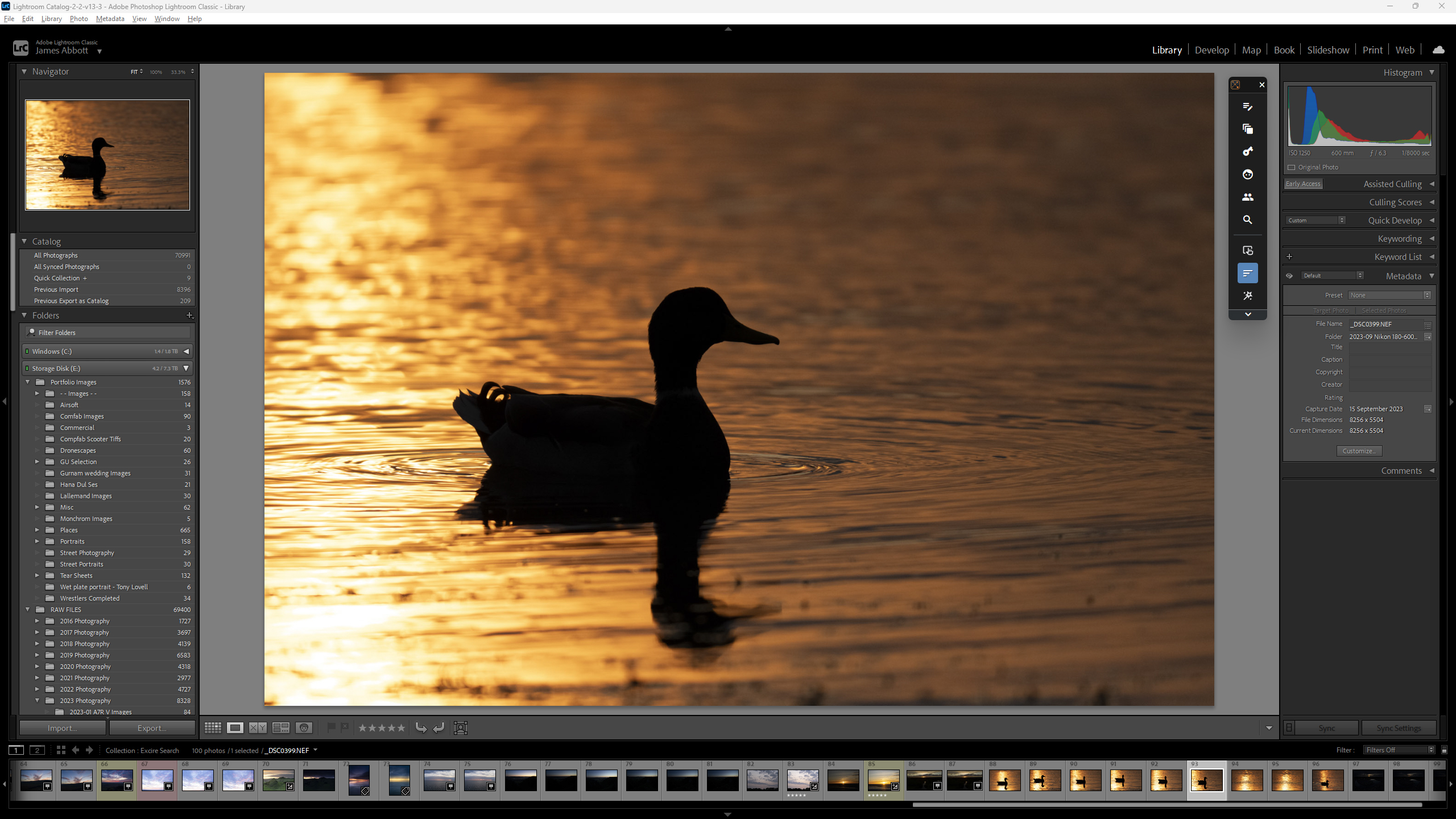 Excire Search 2026 interface