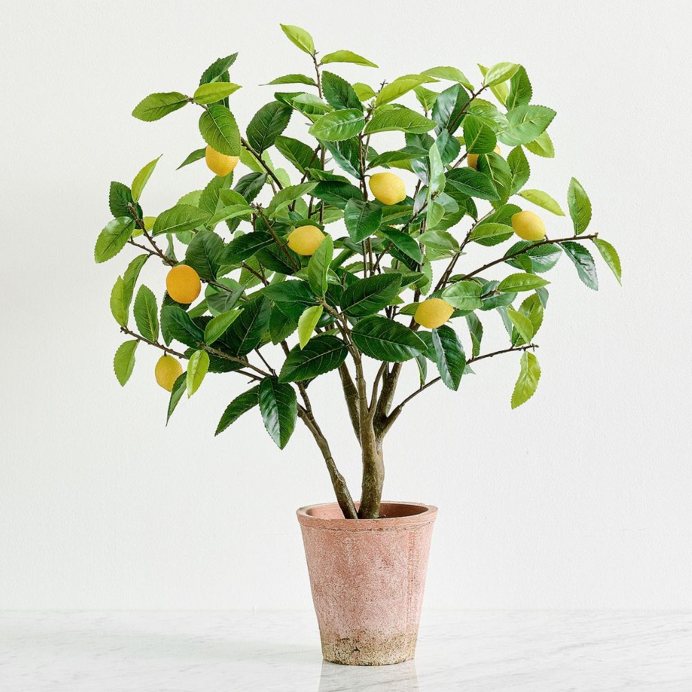 Faux Potted Lemon Topiary