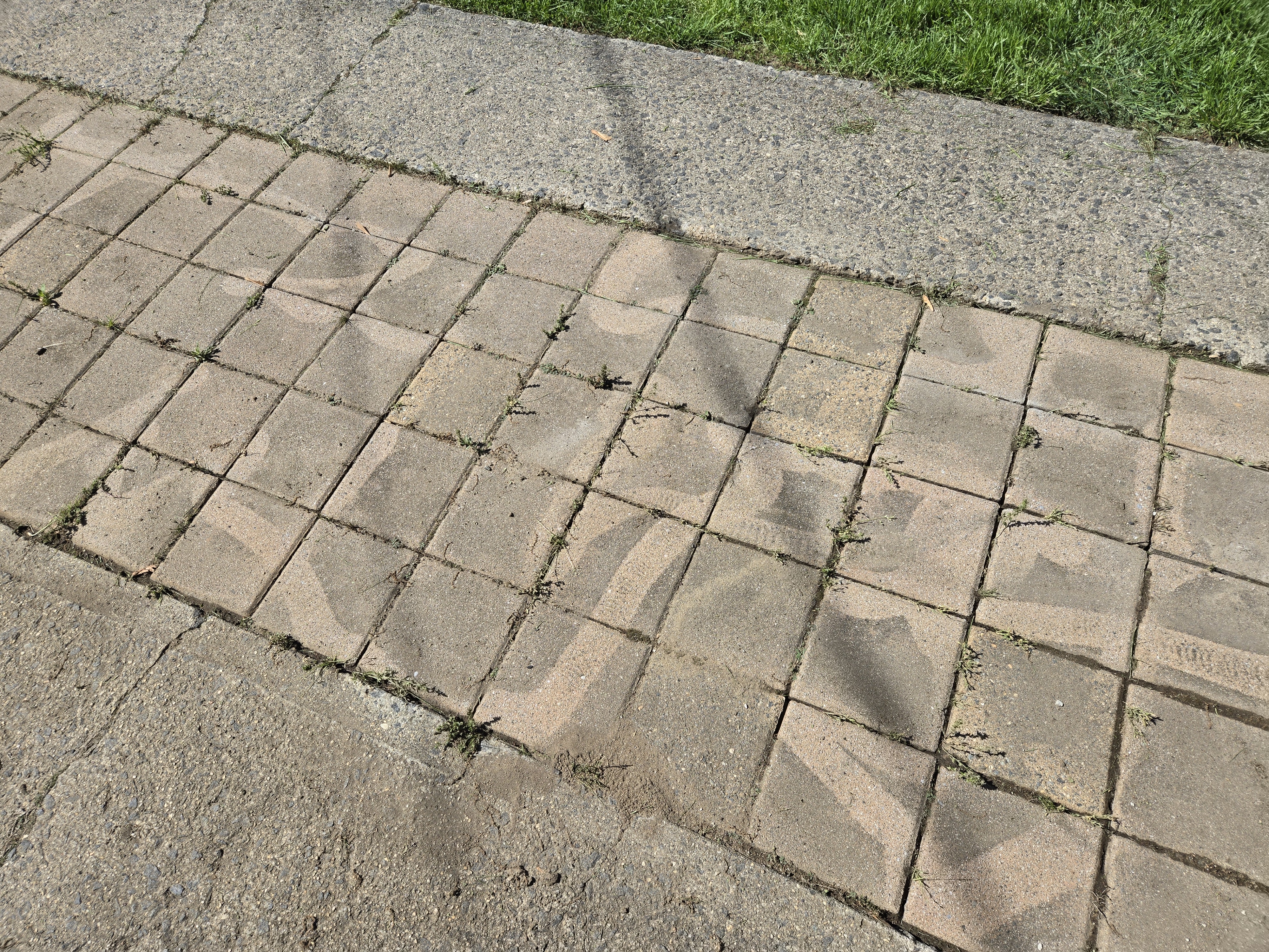 Stihl REA 100 Plus used to remove weeds from pavers.