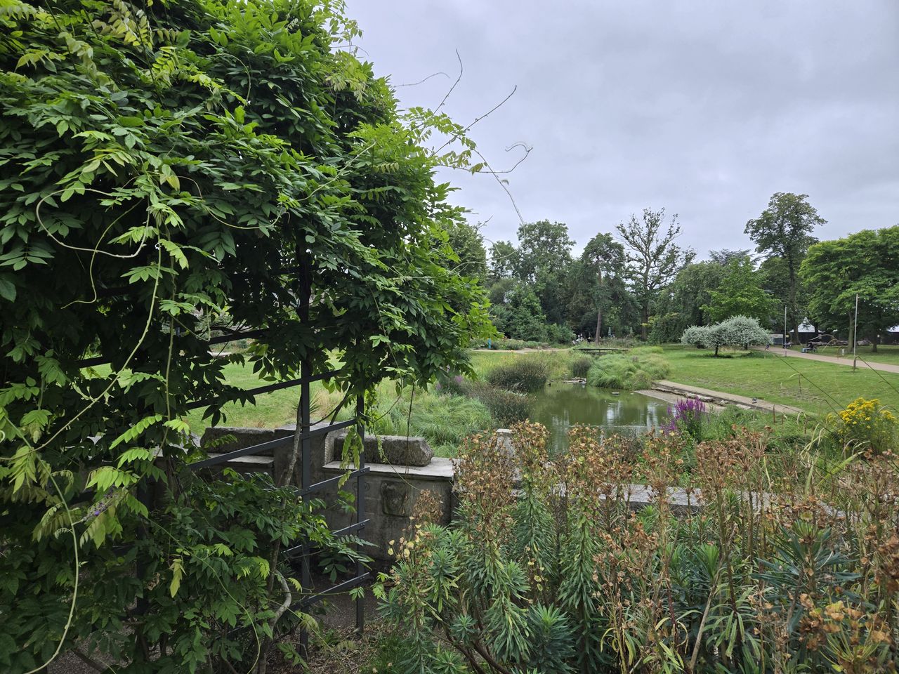 A photo captured on the Samsung Galaxy Z Fold 6