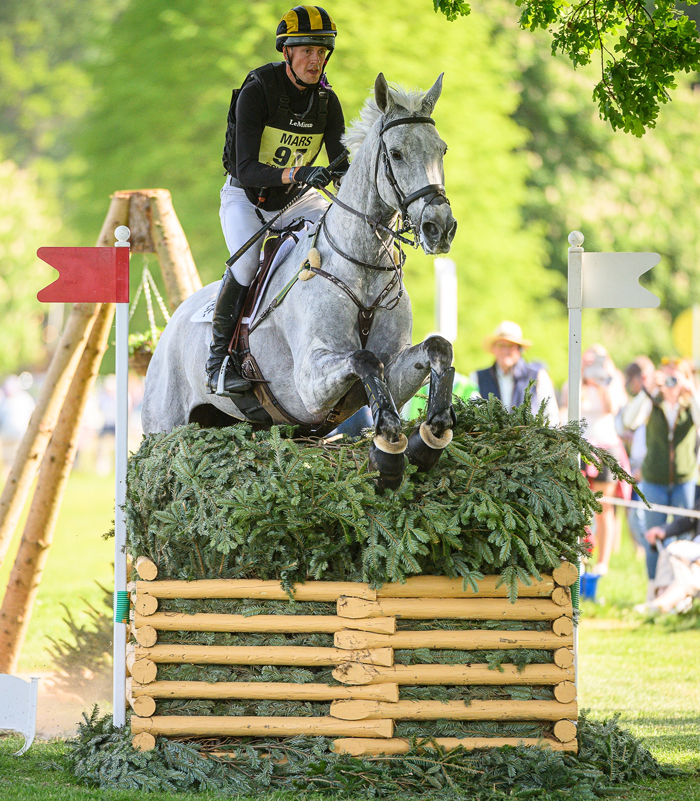 Tom Rowland and DREAMLINER - Cross Country - Badminton Horse Trials 2025