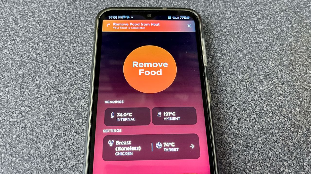 Ninja Pro Chef wireless meat thermometer