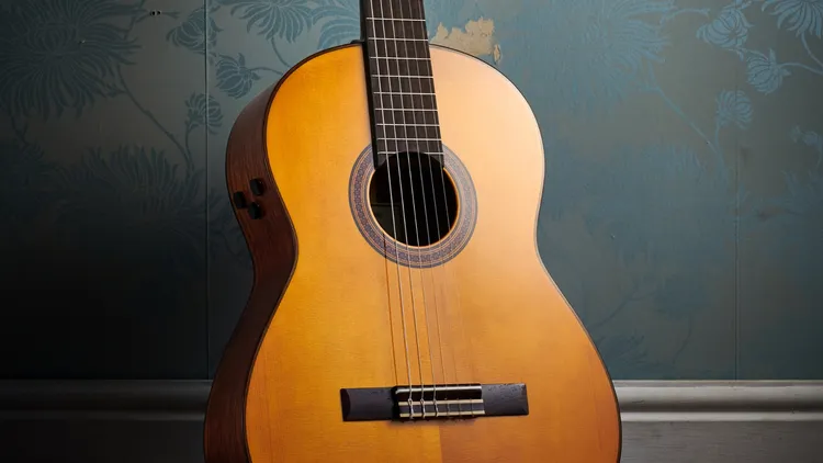 Guitar