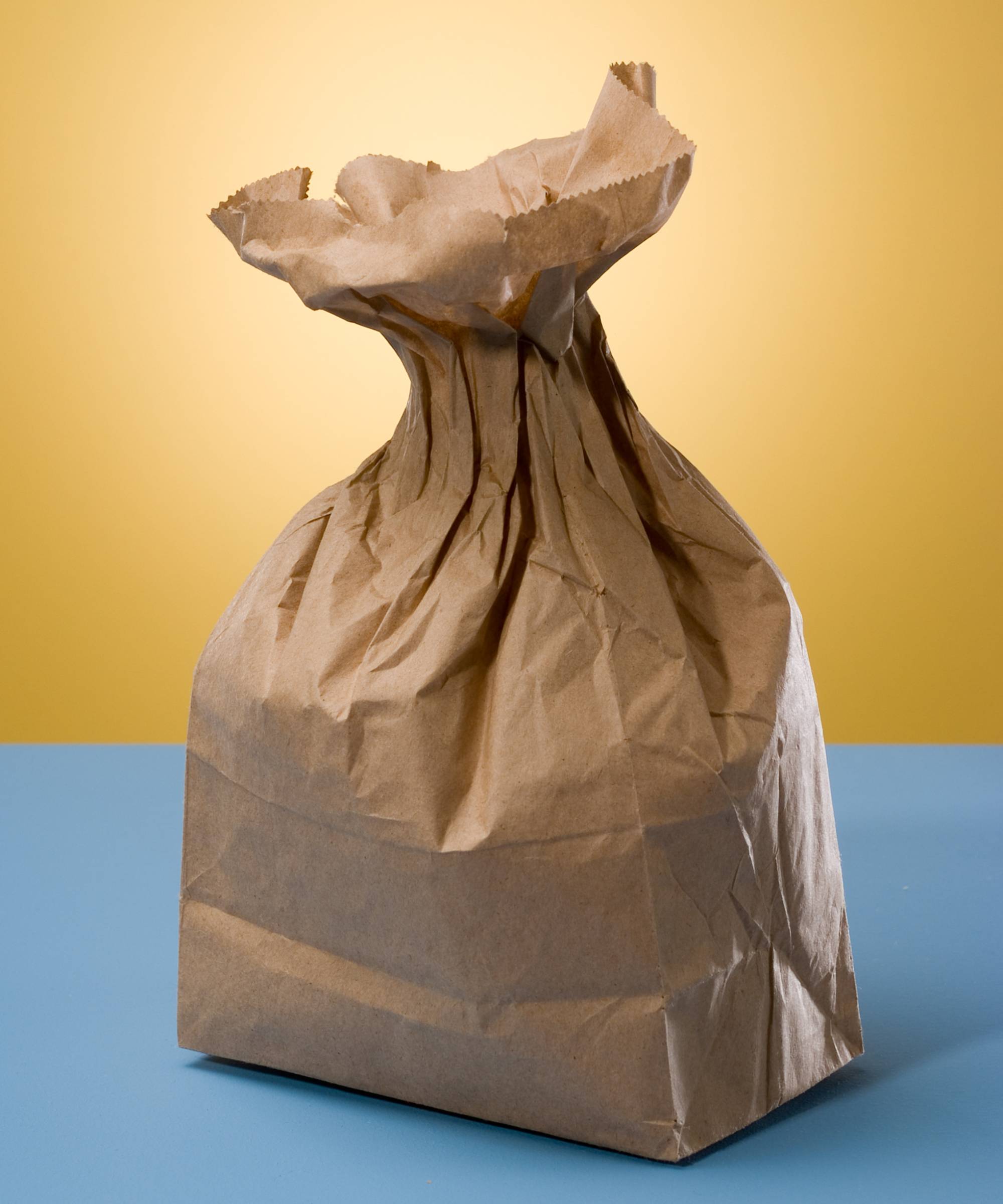 Brown paper bag used to deter wasps