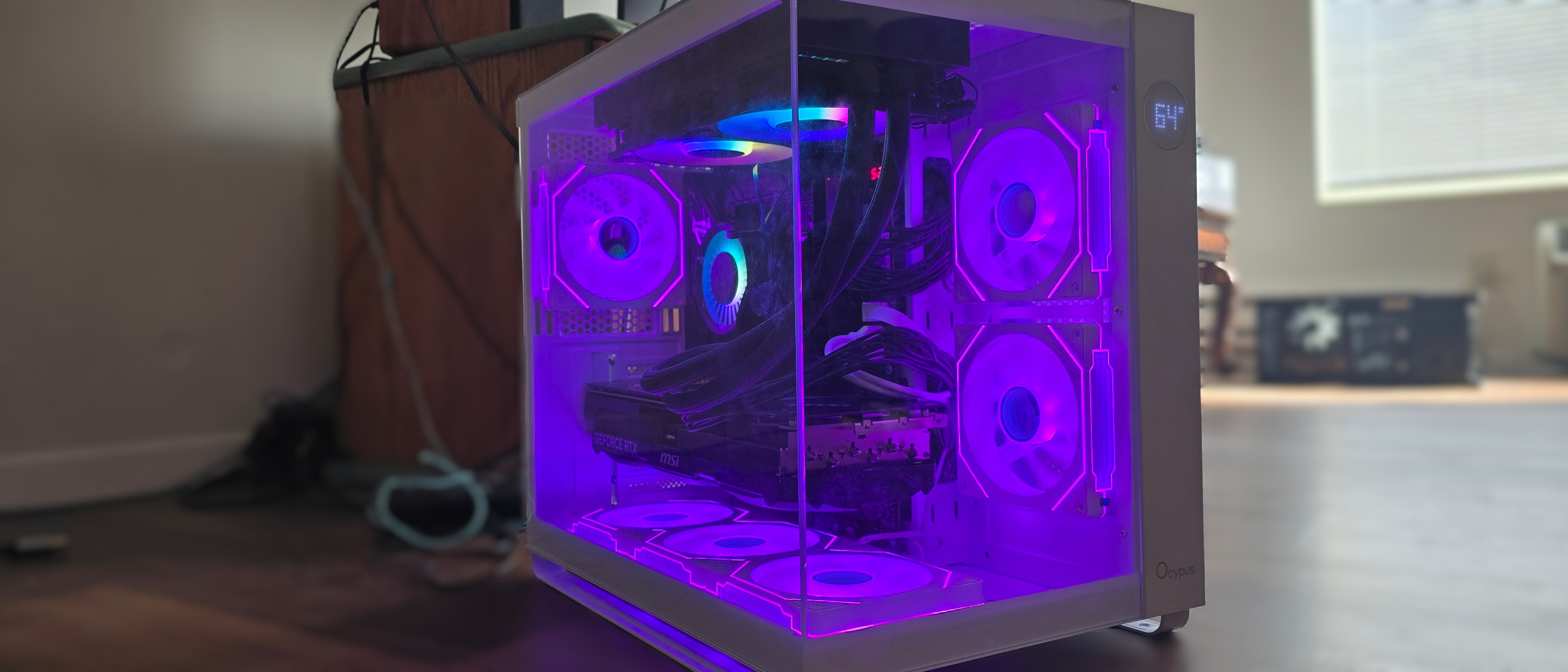 Ocypus Iota C7