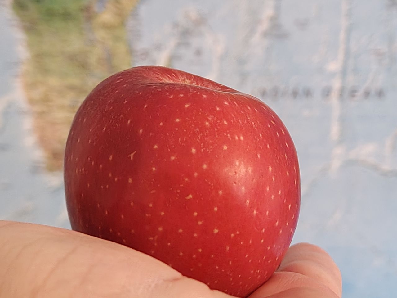 realme 14 Pro+