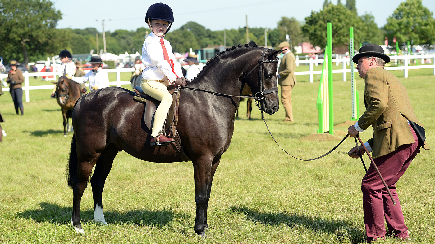 Training the lead-rein pony to stand still is a vital skill