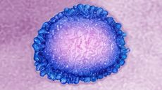 A transmission electron microscopy image of a human coronavirus. 