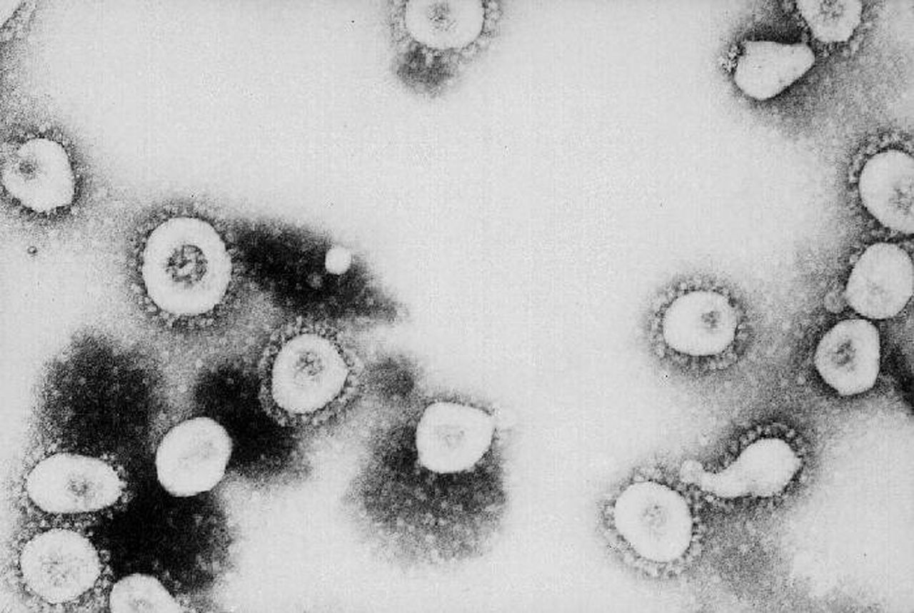 Coronavirus.