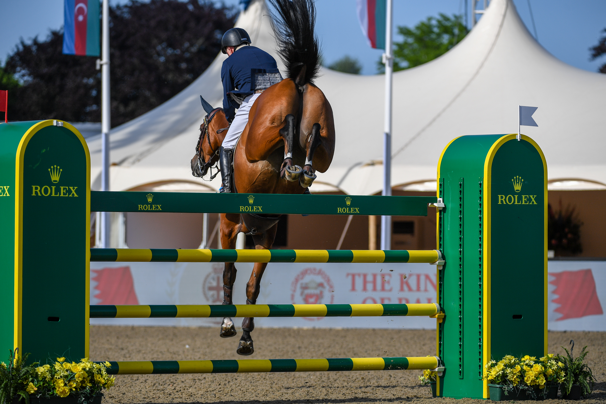 John Whitaker and Sharid at the Royal Windsor Horse Show