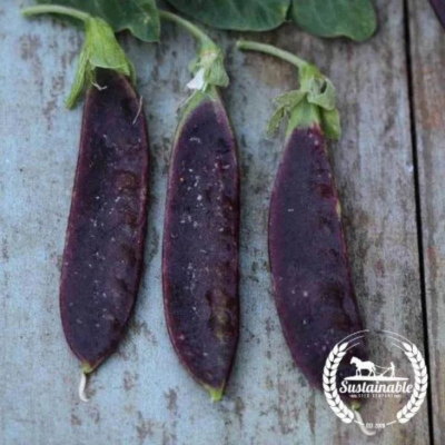 Pea Seeds - Blue Shelling