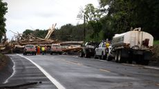 Hawaii Department of Transportation workers inspect road damage caused by Hurricane Lala in Pahala, Hawaii